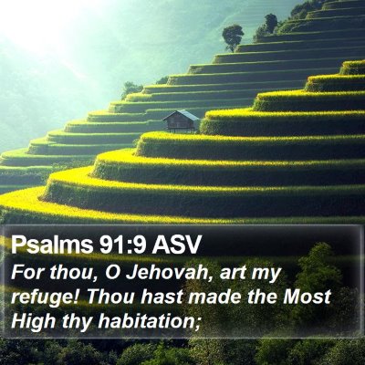 Psalms 91:9 ASV Bible Verse Image