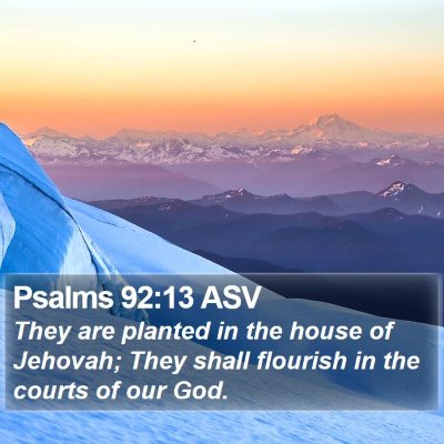 Psalms 92:13 ASV Bible Verse Image