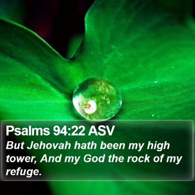 Psalms 94:22 ASV Bible Verse Image