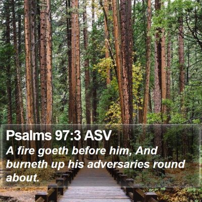 Psalms 97:3 ASV Bible Verse Image