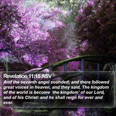 Revelation 11:15 ASV Bible Verse Image