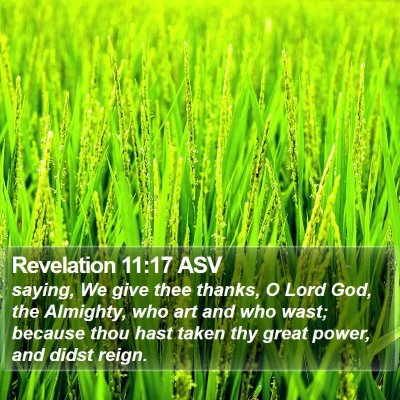 Revelation 11:17 ASV Bible Verse Image