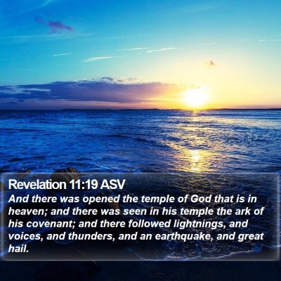 Revelation 11:19 ASV Bible Verse Image