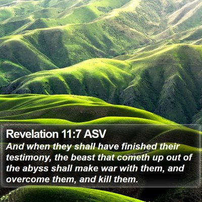 Revelation 11:7 ASV Bible Verse Image
