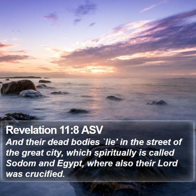 Revelation 11:8 ASV Bible Verse Image