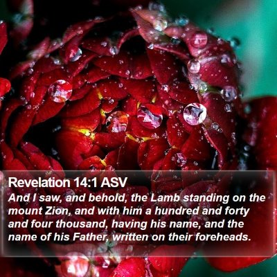 Revelation 14:1 ASV Bible Verse Image