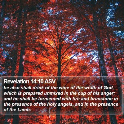Revelation 14:10 ASV Bible Verse Image