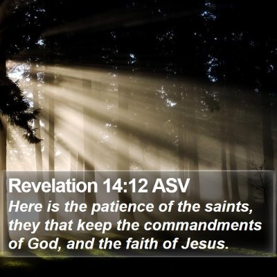 Revelation 14:12 ASV Bible Verse Image