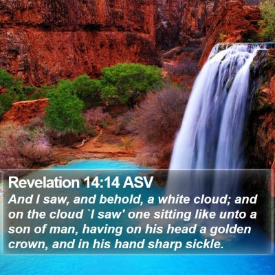 Revelation 14:14 ASV Bible Verse Image