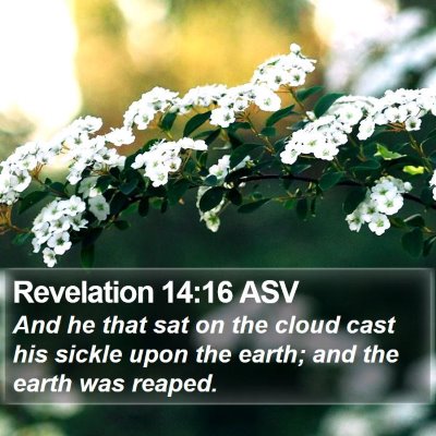 Revelation 14:16 ASV Bible Verse Image