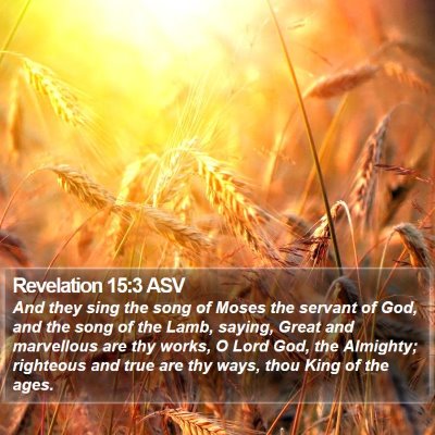 Revelation 15:3 ASV Bible Verse Image