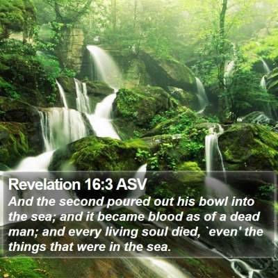 Revelation 16:3 ASV Bible Verse Image