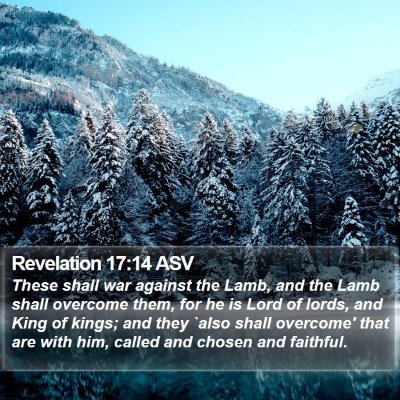 Revelation 17:14 ASV Bible Verse Image