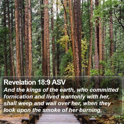 Revelation 18:9 ASV Bible Verse Image