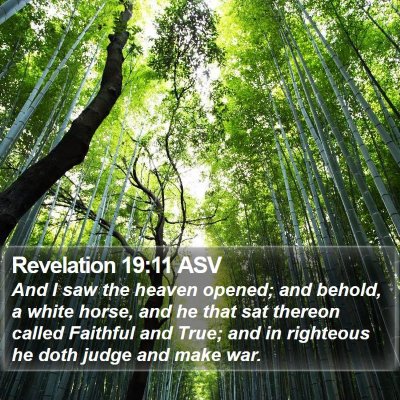 Revelation 19:11 ASV Bible Verse Image