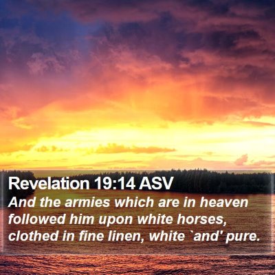 Revelation 19:14 ASV Bible Verse Image