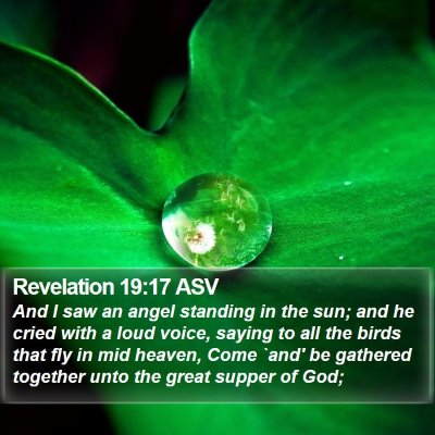 Revelation 19:17 ASV Bible Verse Image