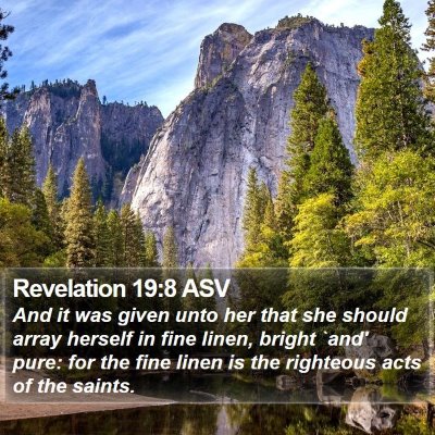 Revelation 19:8 ASV Bible Verse Image
