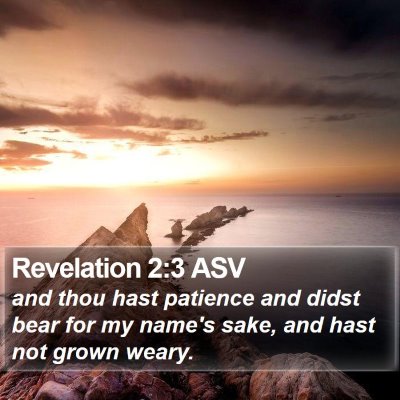 Revelation 2:3 ASV Bible Verse Image