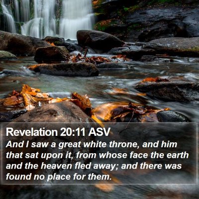 Revelation 20:11 ASV Bible Verse Image