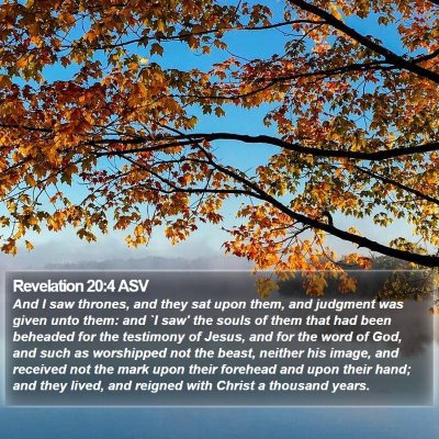 Revelation 20:4 ASV Bible Verse Image