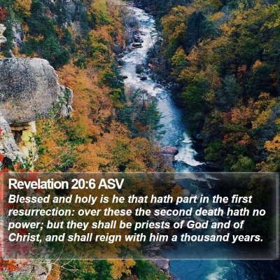 Revelation 20:6 ASV Bible Verse Image