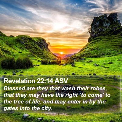 Revelation 22:14 ASV Bible Verse Image