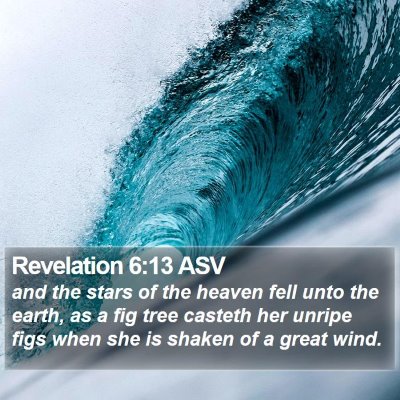 Revelation 6:13 ASV Bible Verse Image