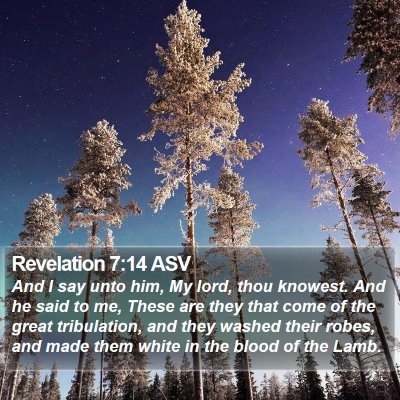 Revelation 7:14 ASV Bible Verse Image