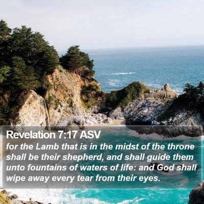 Revelation 7:17 ASV Bible Verse Image