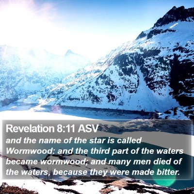 Revelation 8:11 ASV Bible Verse Image