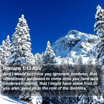Romans 1:13 ASV Bible Verse Image