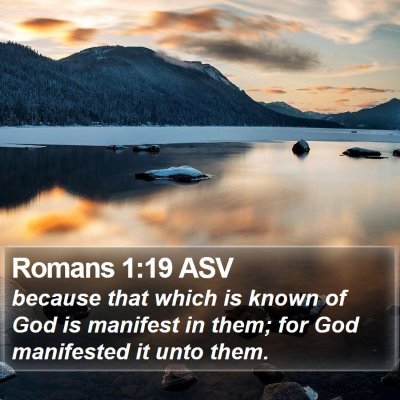 Romans 1:19 ASV Bible Verse Image