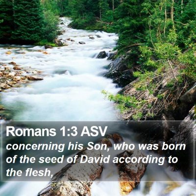 Romans 1:3 ASV Bible Verse Image