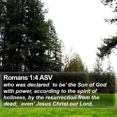 Romans 1:4 ASV Bible Verse Image