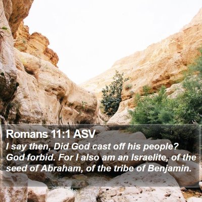 Romans 11:1 ASV Bible Verse Image