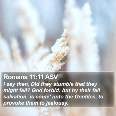 Romans 11:11 ASV Bible Verse Image