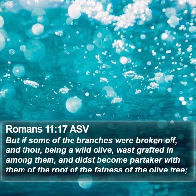 Romans 11:17 ASV Bible Verse Image
