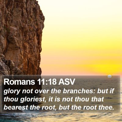Romans 11:18 ASV Bible Verse Image