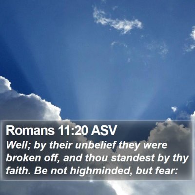 Romans 11:20 ASV Bible Verse Image