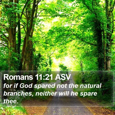 Romans 11:21 ASV Bible Verse Image