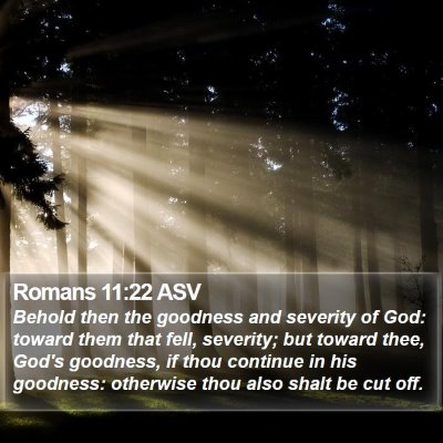 Romans 11:22 ASV Bible Verse Image