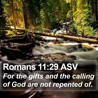 Romans 11:29 ASV Bible Verse Image