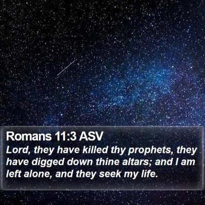 Romans 11:3 ASV Bible Verse Image
