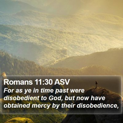 Romans 11:30 ASV Bible Verse Image