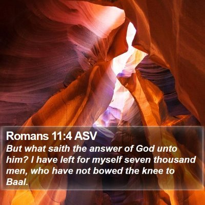 Romans 11:4 ASV Bible Verse Image