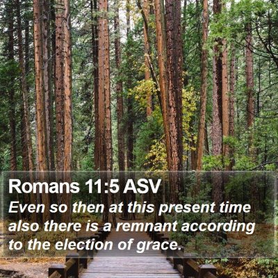 Romans 11:5 ASV Bible Verse Image