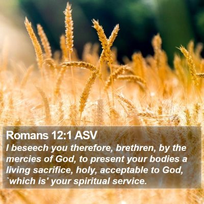 Romans 12:1 ASV Bible Verse Image