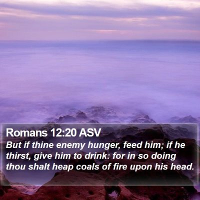Romans 12:20 ASV Bible Verse Image