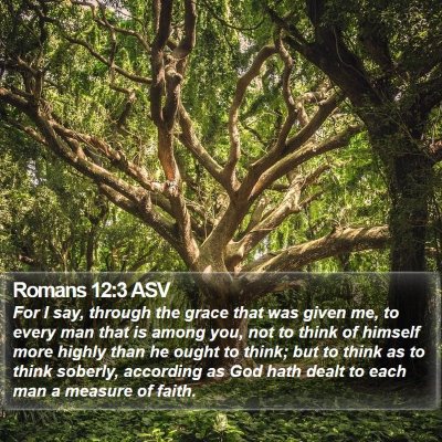 Romans 12:3 ASV Bible Verse Image